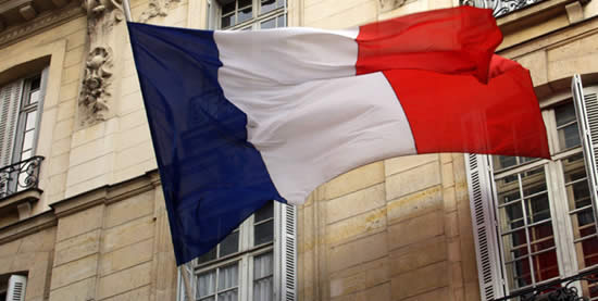 Image result for french flag